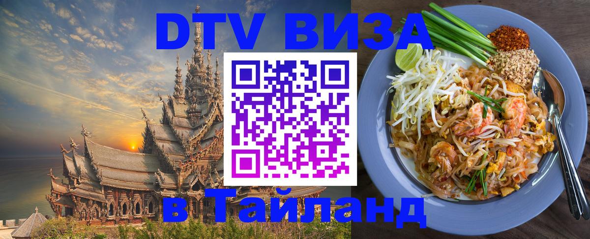 Сколько стоит DTV виза — актуальные цены, оформление даже без документов - Рубцовск 